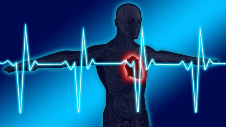 blundetto-malattie-cardiovascolari