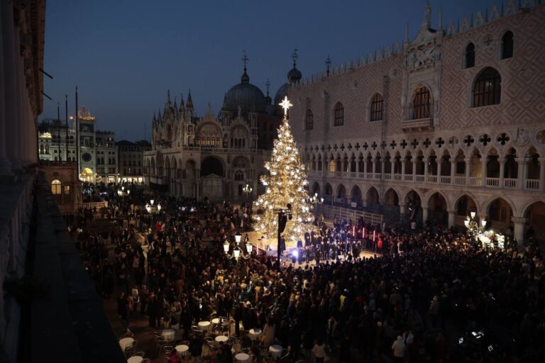 albero venezia