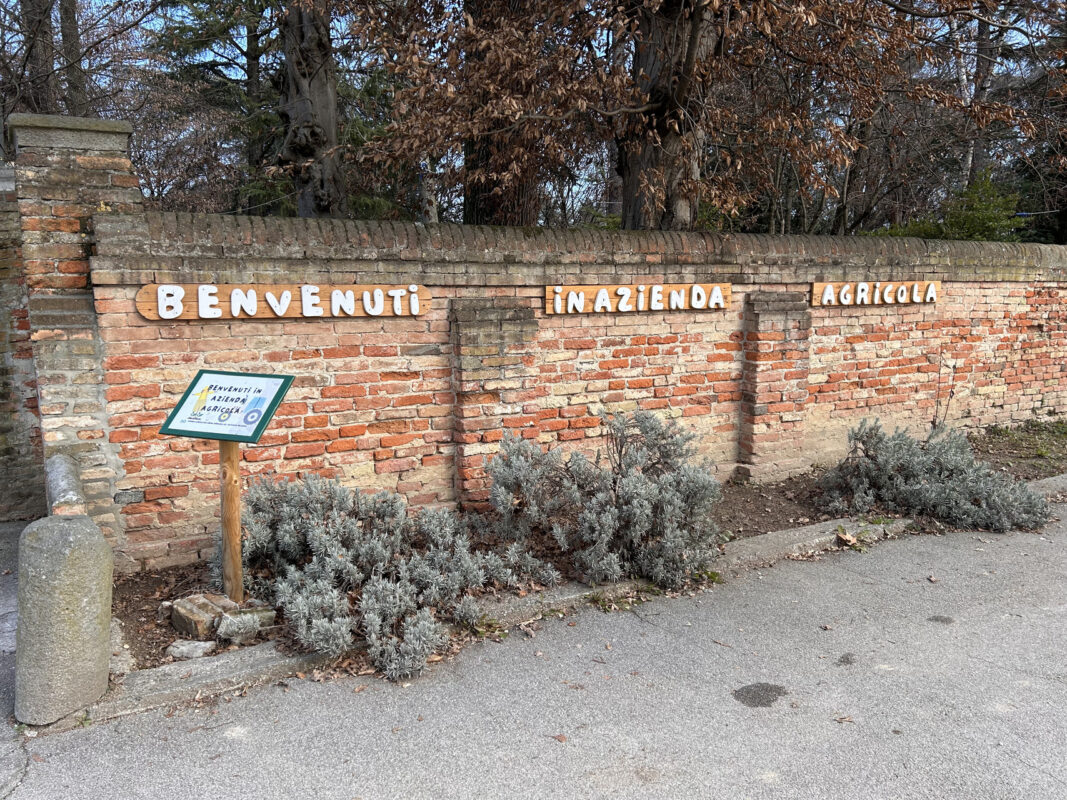 Lavorare in autonomia nell’azienda agricola don Orione