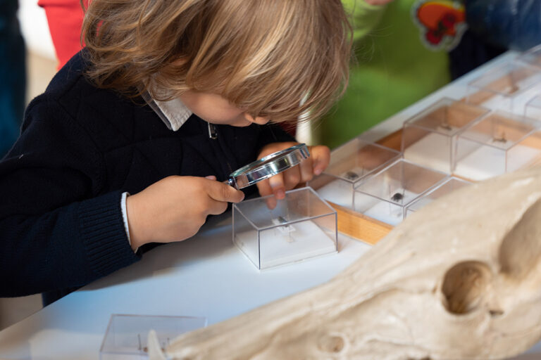 biodiversita-famiglie-al-museo